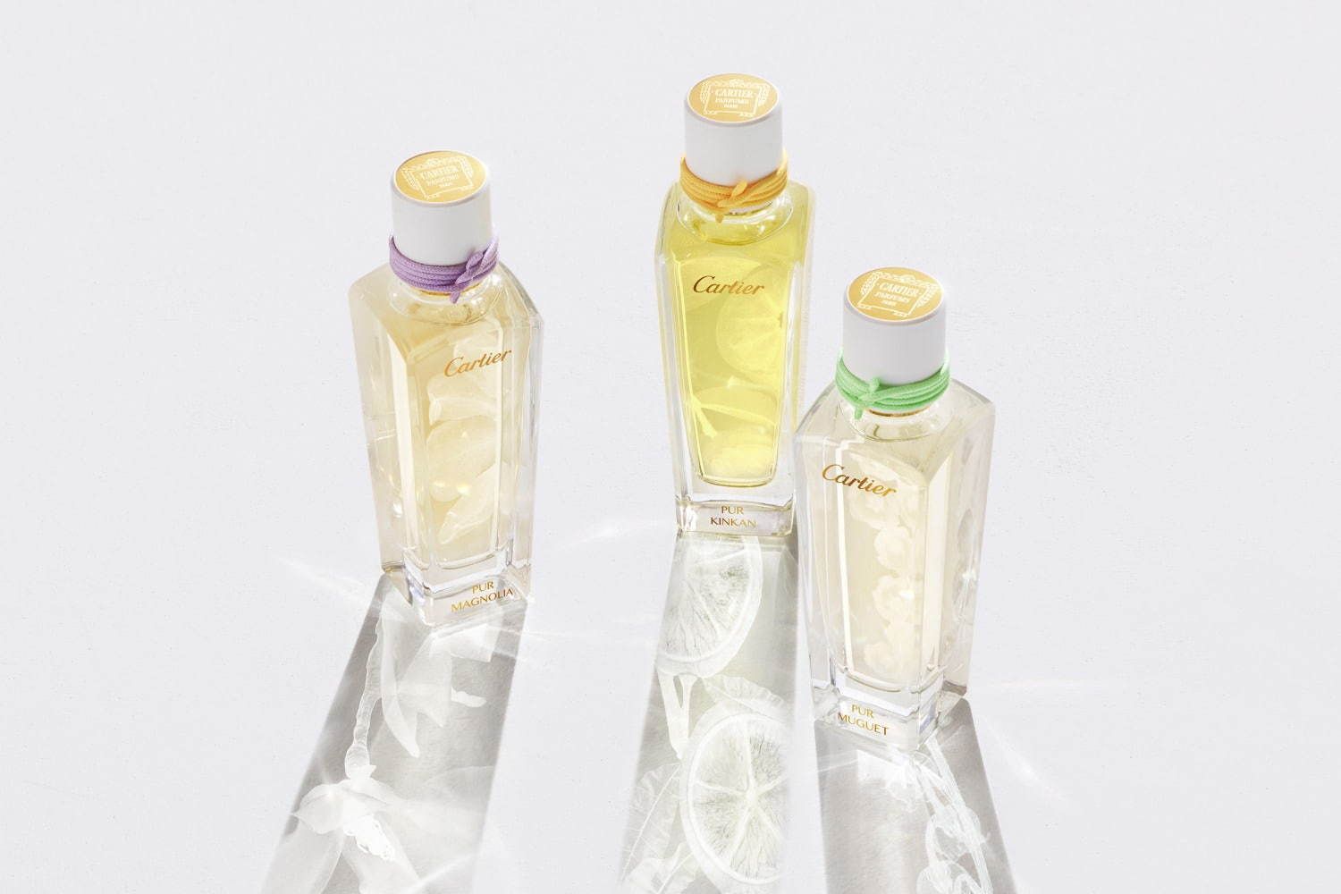 تصویر عطر پور مگنولیا کارتیه