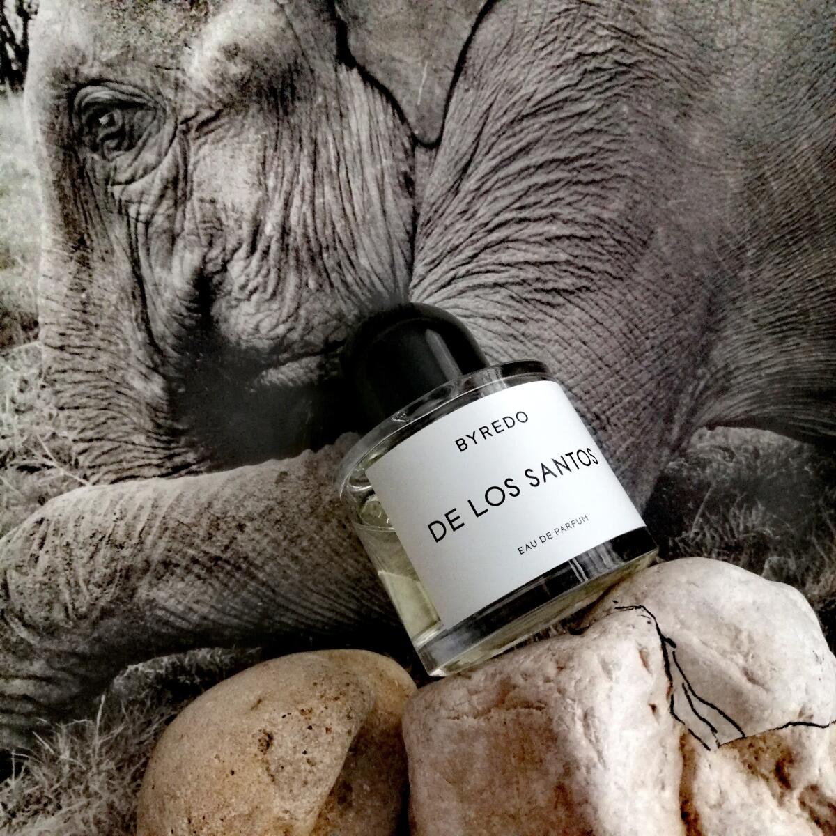تصویر عطر دی لوس سانتوس بایردو