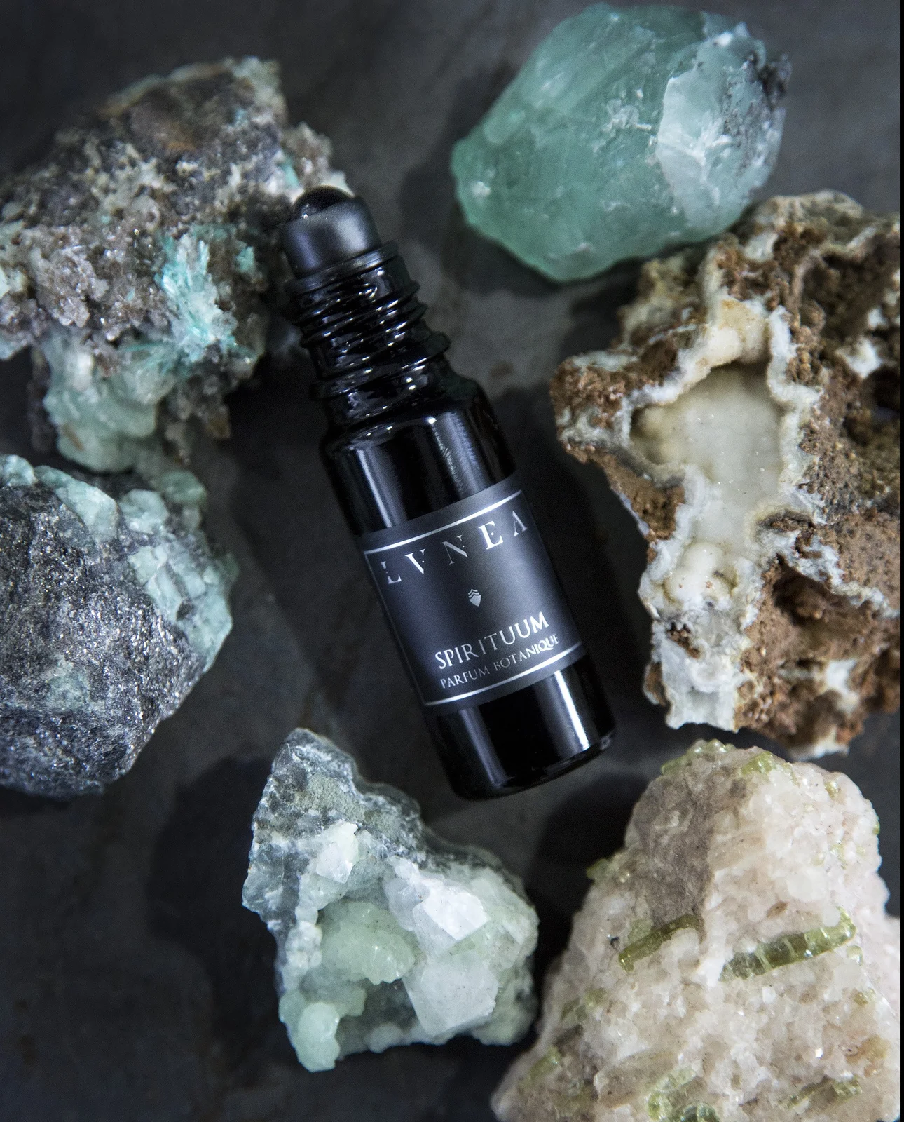 تصویر عطر اسپیریتوم لونی