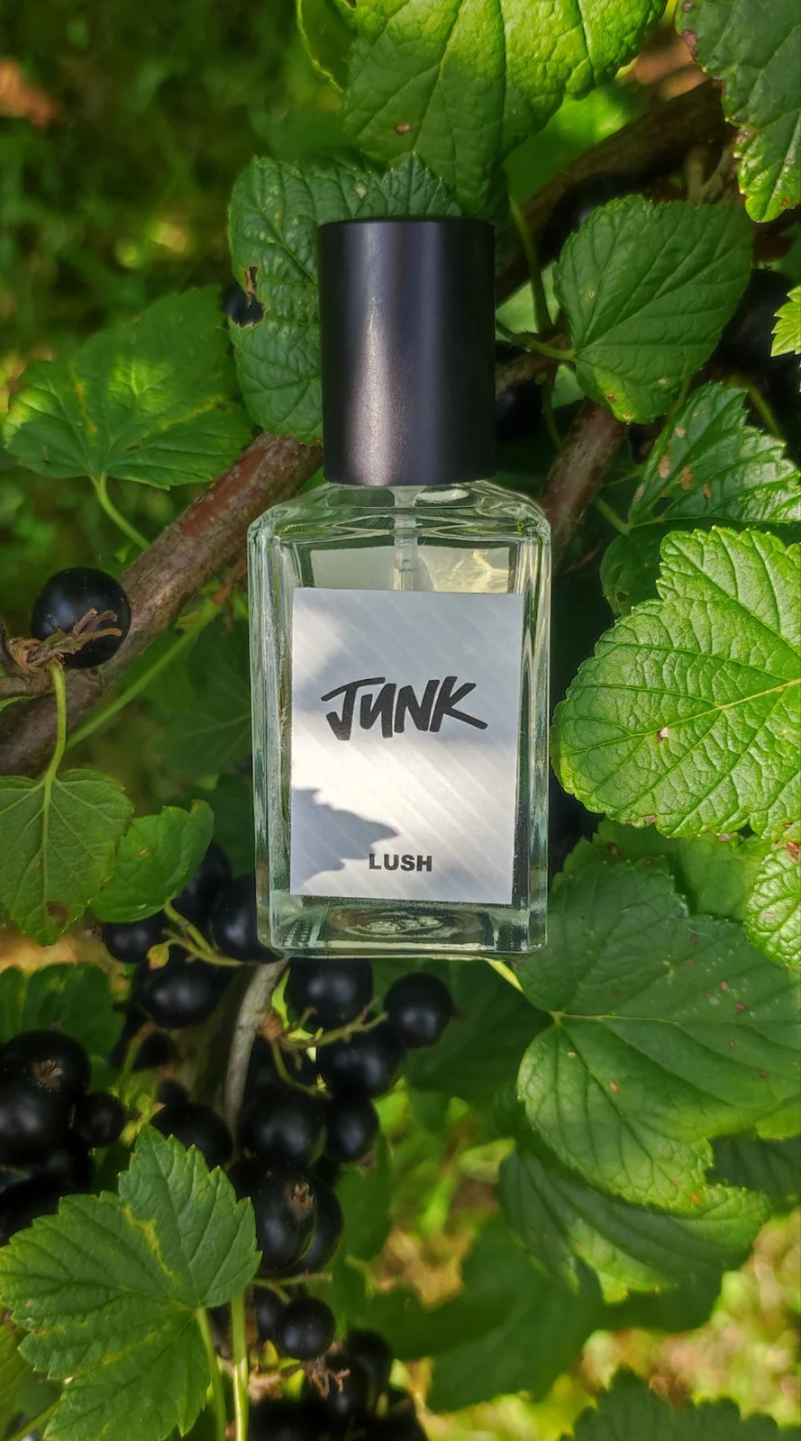 تصویر عطر جانک لاش
