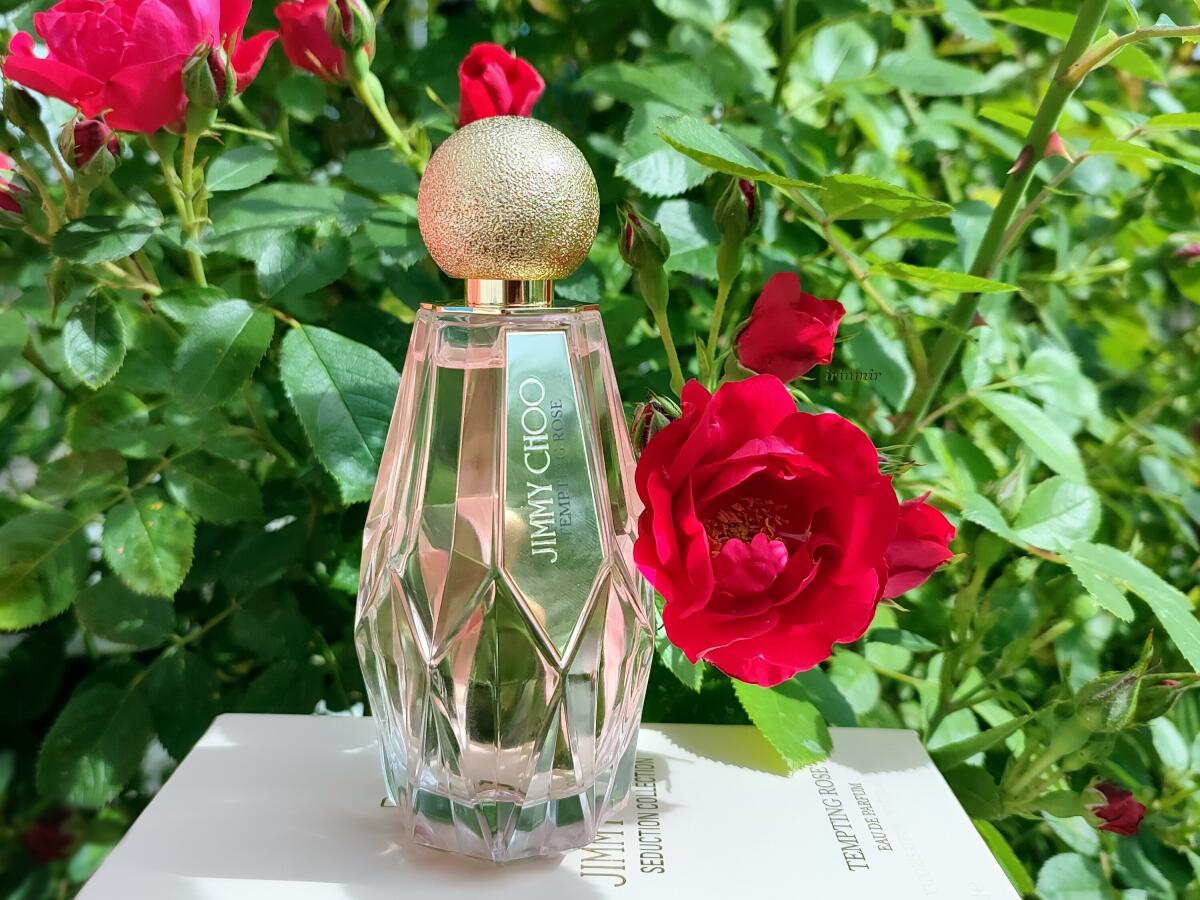 تصویر عطر تمپتینگ رز جیمی چو