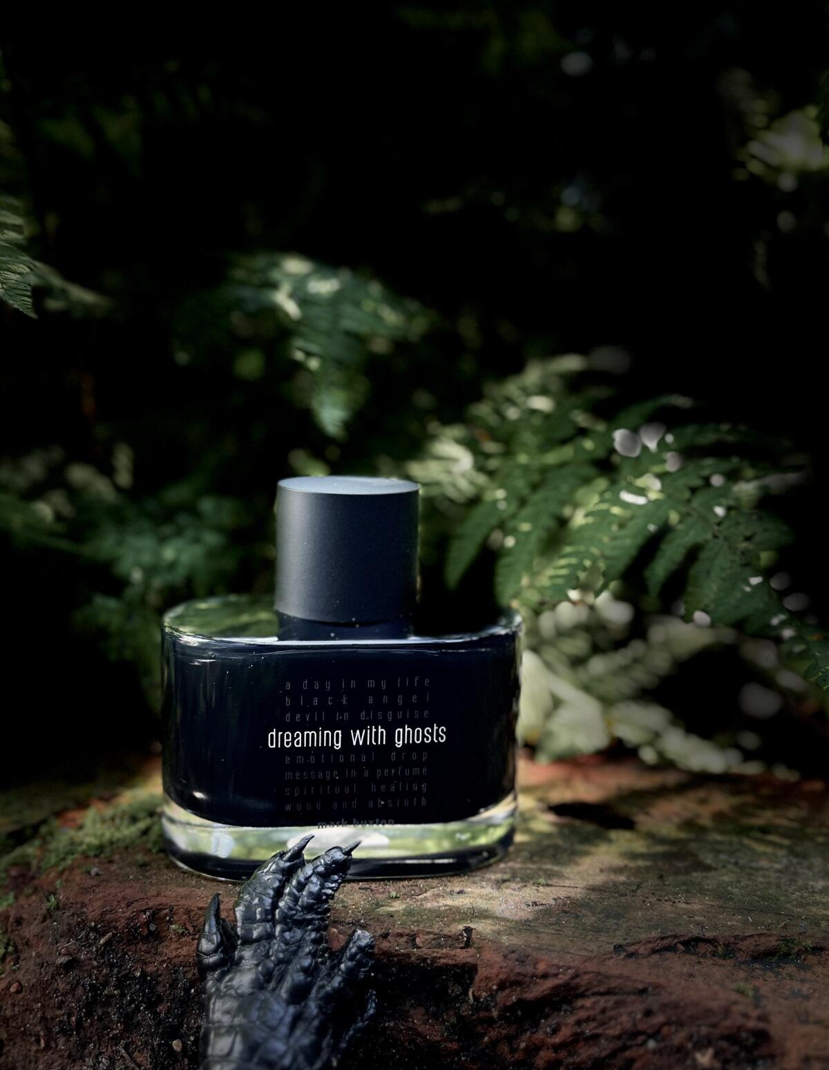 تصویر عطر دریمنگ ویت گوستس مارک باکستون