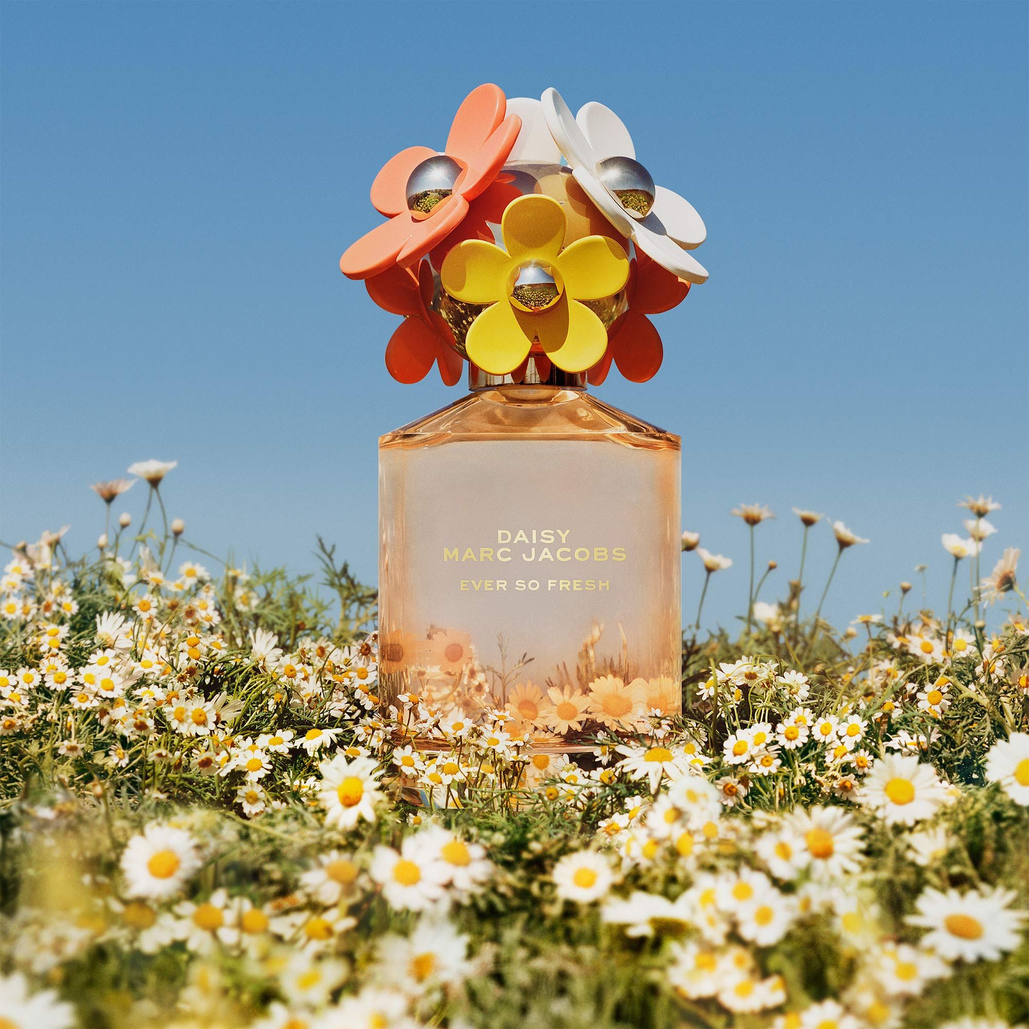 تصویر عطر دیزی اور سو فرش مارک جیکوبز
