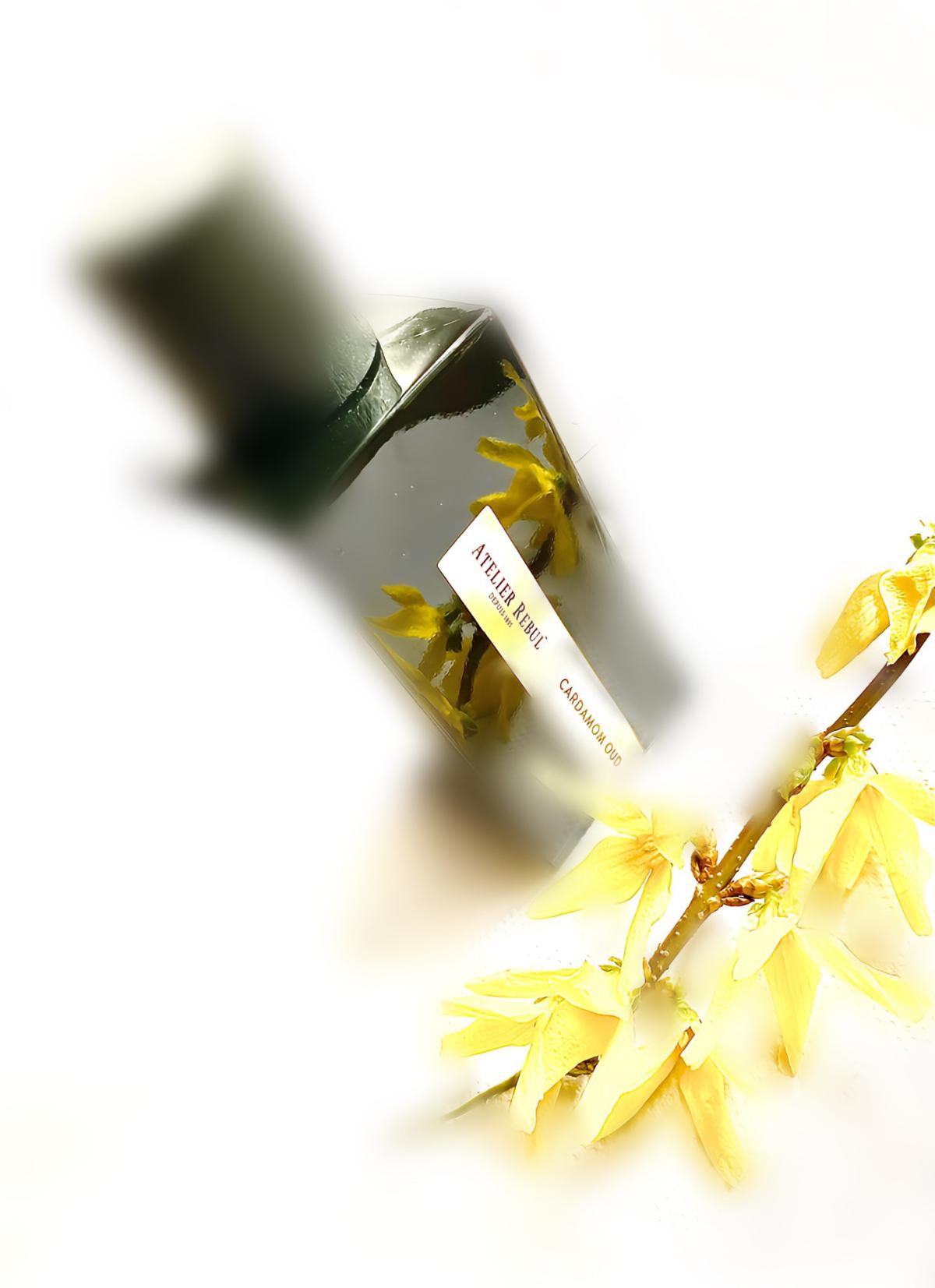 تصویر عطر کارداموم عود آتلیه ربول