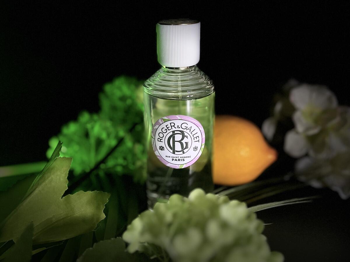 تصویر عطر فدته روژه اند گاله