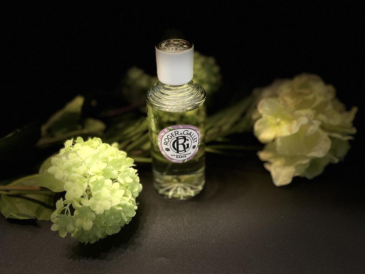 تصویر عطر فدته روژه اند گاله