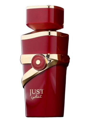 تصویر عطر جاست انابی فرگرنس ورلد