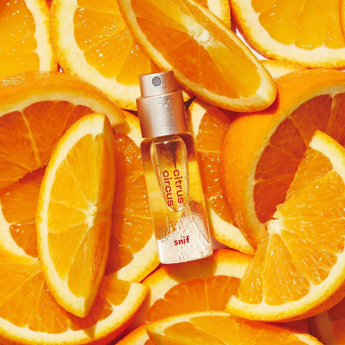 تصویر عطر سیتروس سرکِس سنیف