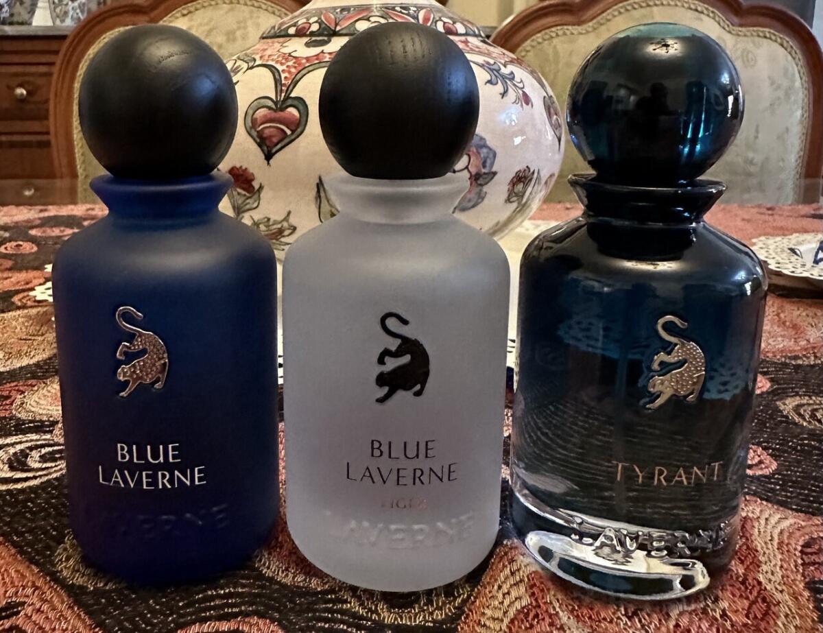 تصویر عطر بلو لاورن تایگر
