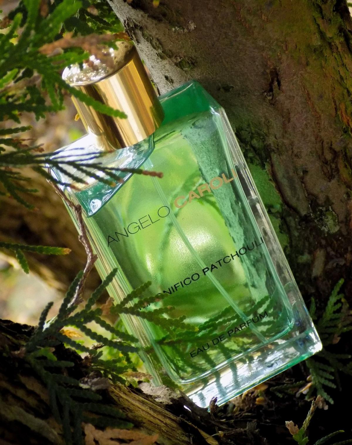 تصویر عطر مگنیفیکو پاچولی آنجلو کارولی