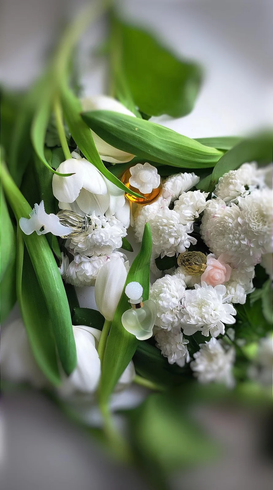 تصویر عطر کاپریچی نینا ریچی