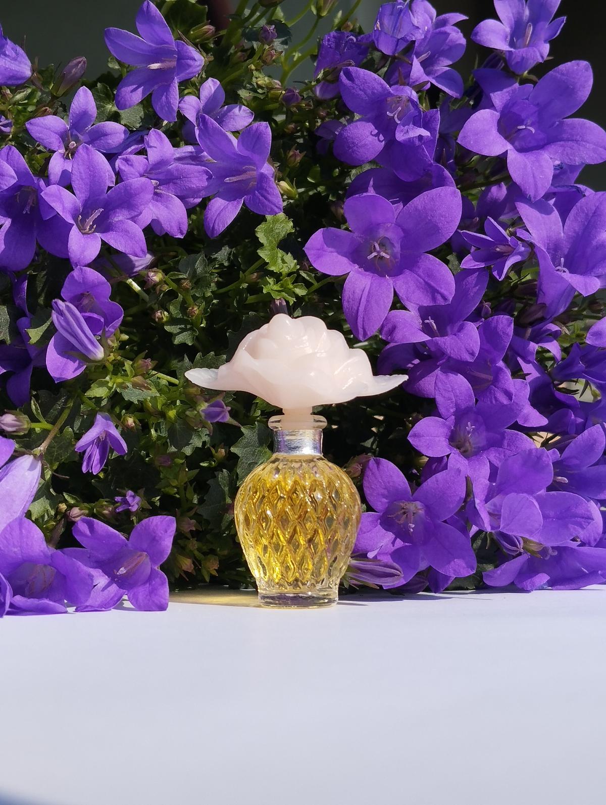 تصویر عطر کاپریچی نینا ریچی