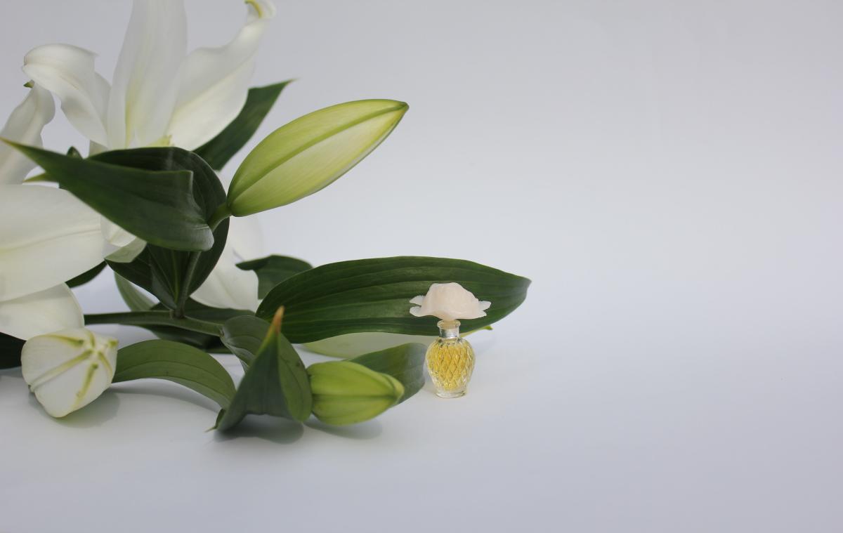 تصویر عطر کاپریچی نینا ریچی