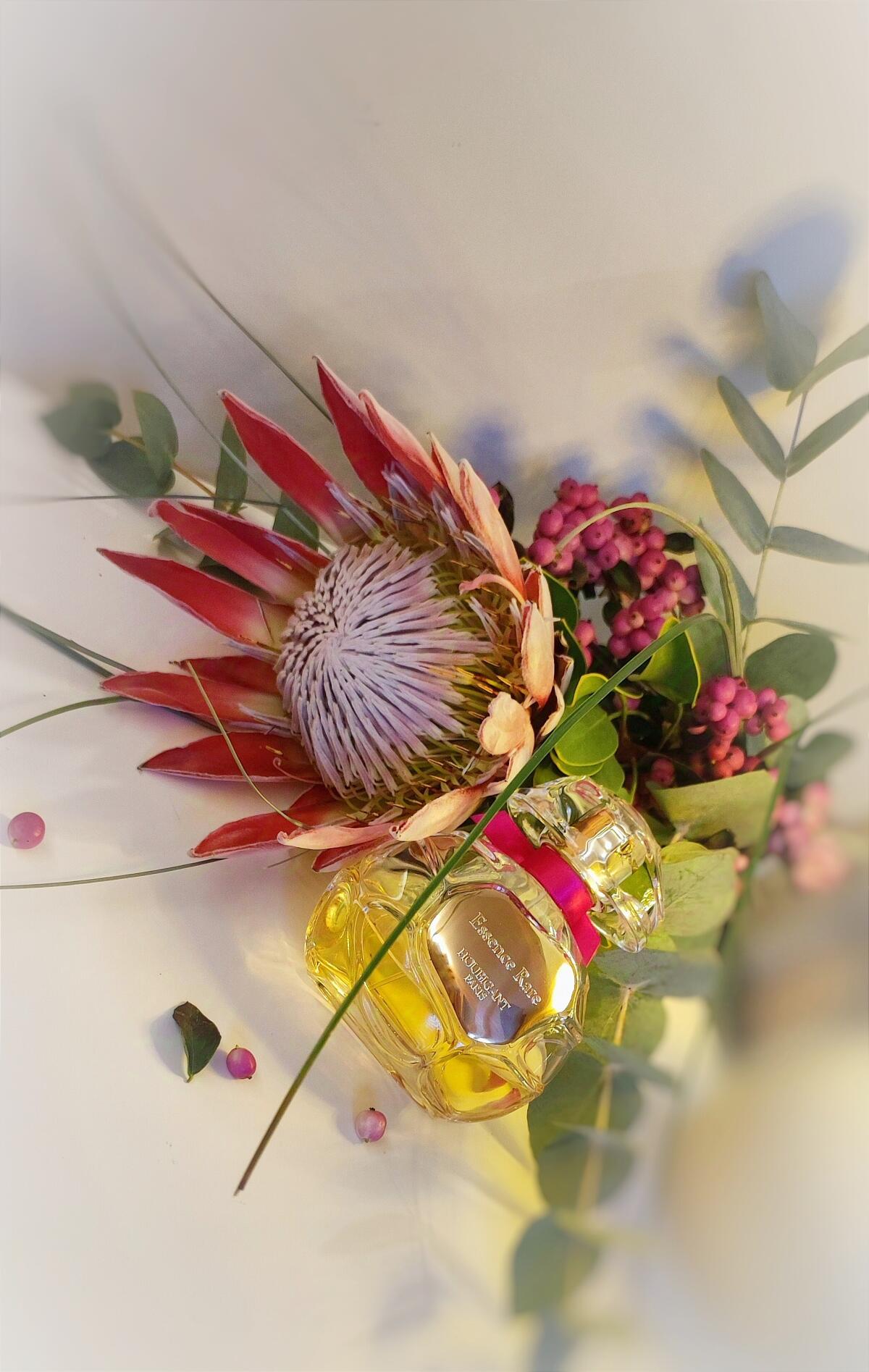 تصویر عطر اسنس رر اوبیگان