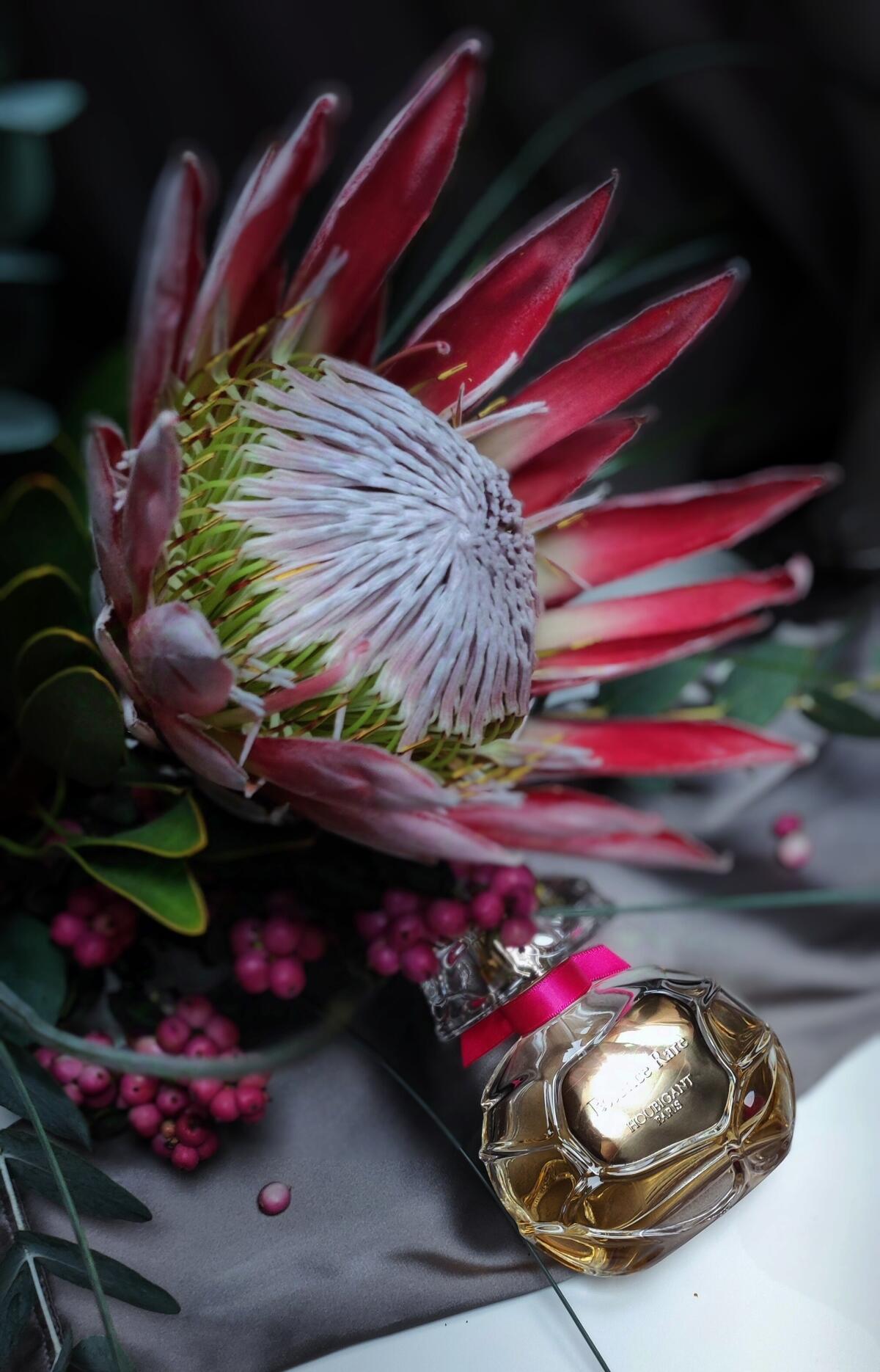 تصویر عطر اسنس رر اوبیگان