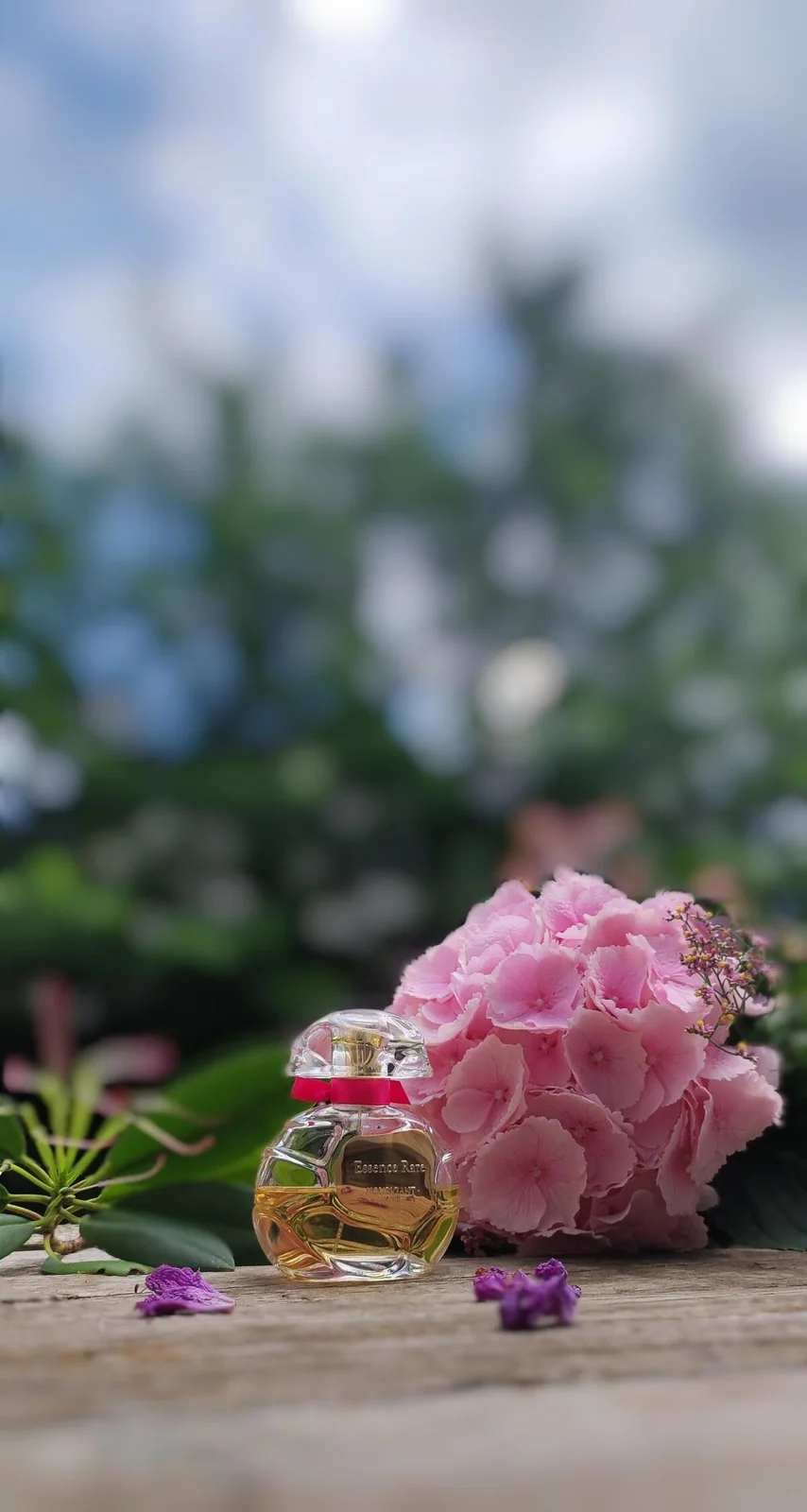 تصویر عطر اسنس رر اوبیگان
