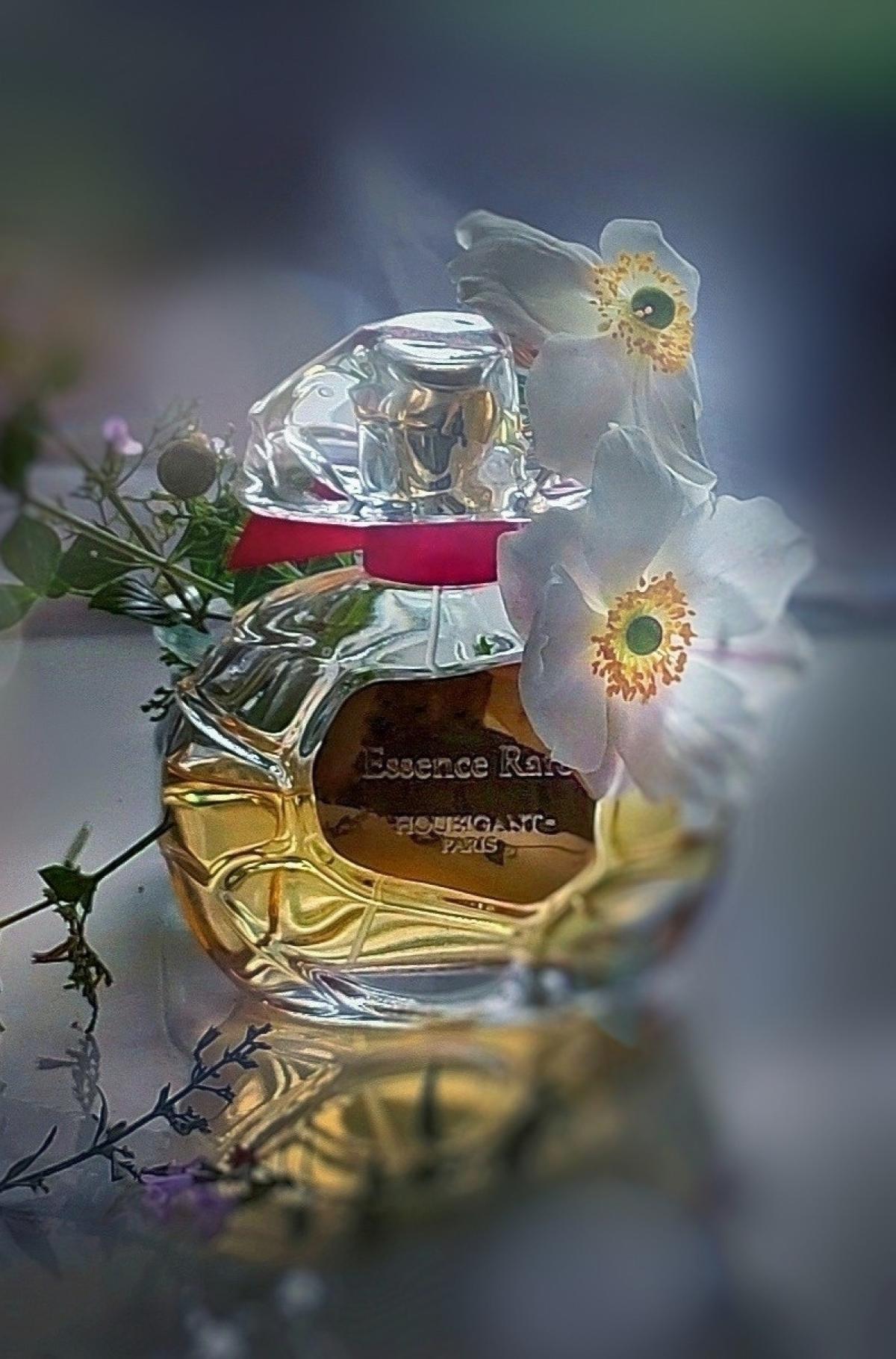 تصویر عطر اسنس رر اوبیگان