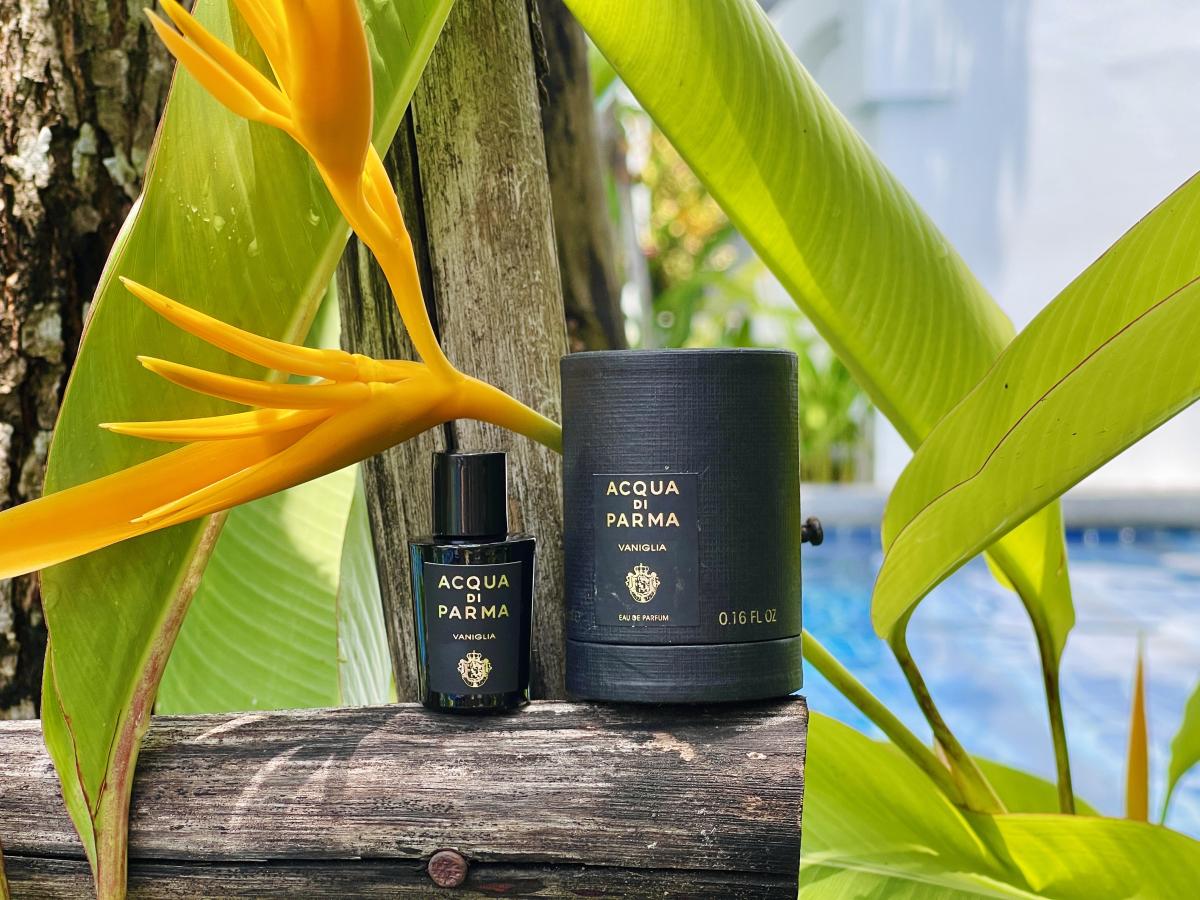 تصویر عطر وانیگلیا او دو پرفیوم آکوا دی پارما