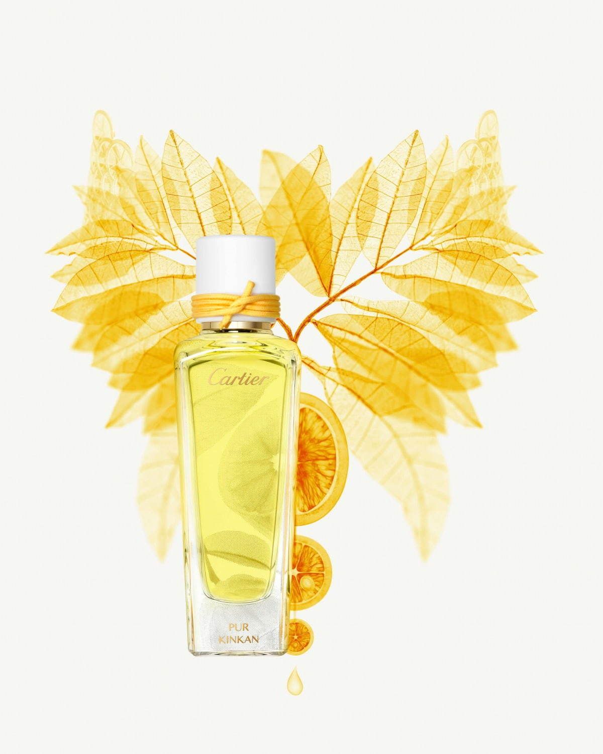 تصویر عطر پور کینکان کارتیه
