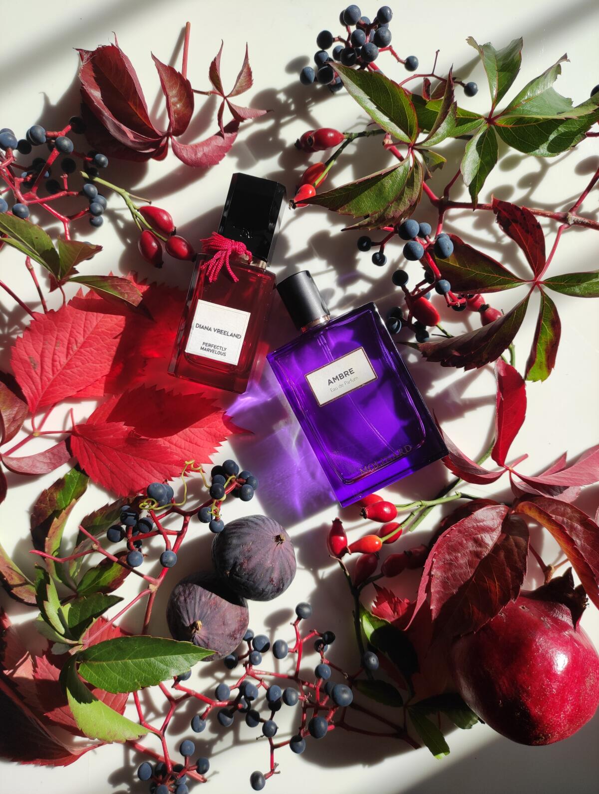 تصویر عطر پرفکتلی مارولوس دایانا وریلِند