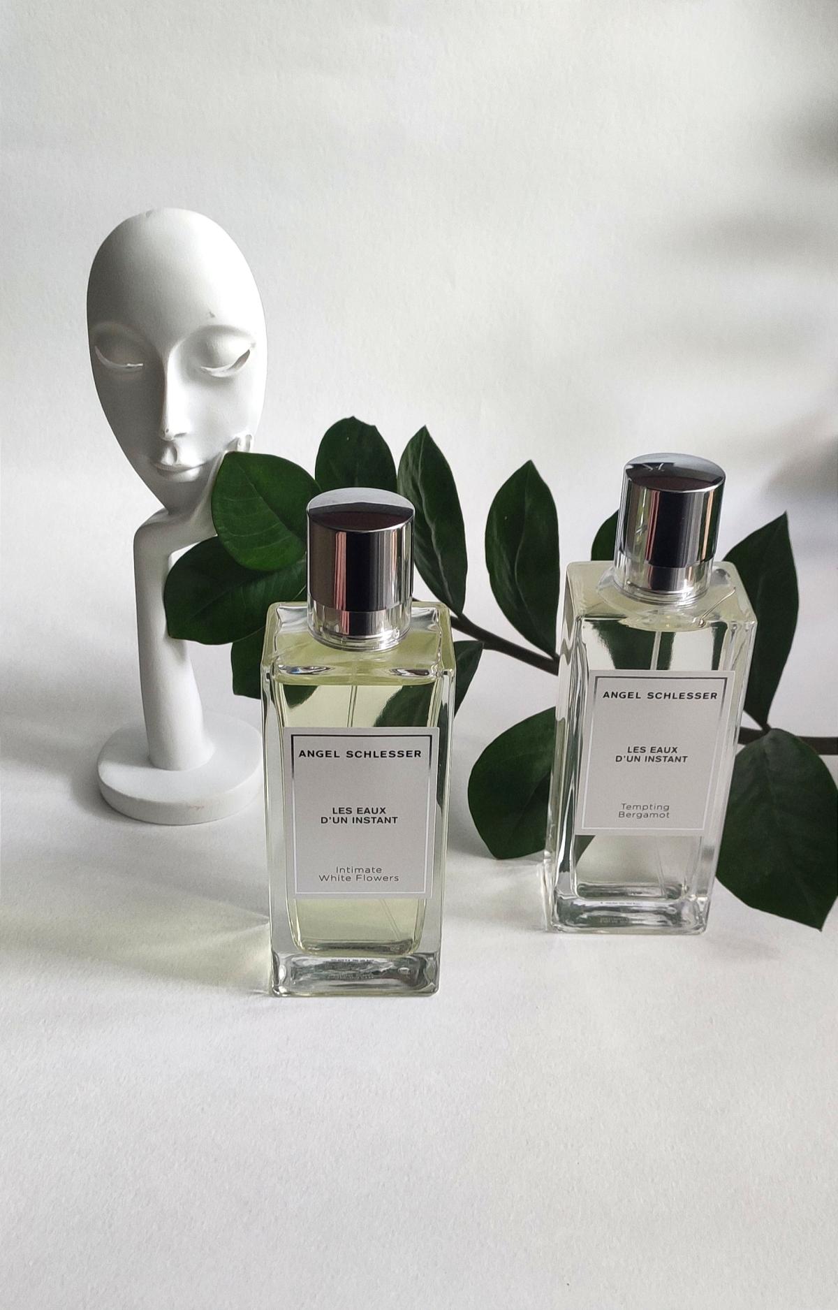 تصویر عطر تمپتینگ برگاموت آنخل شلسر