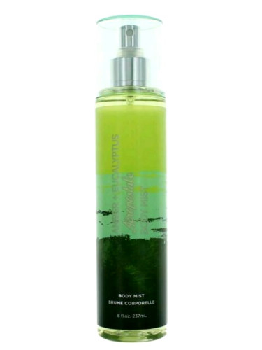 تصویر عطر امبر اکالیپتوس اروپوستال