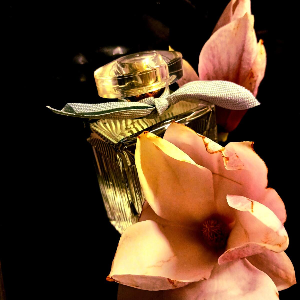 تصویر عطر کلوئه او دو پارفوم ناتورل