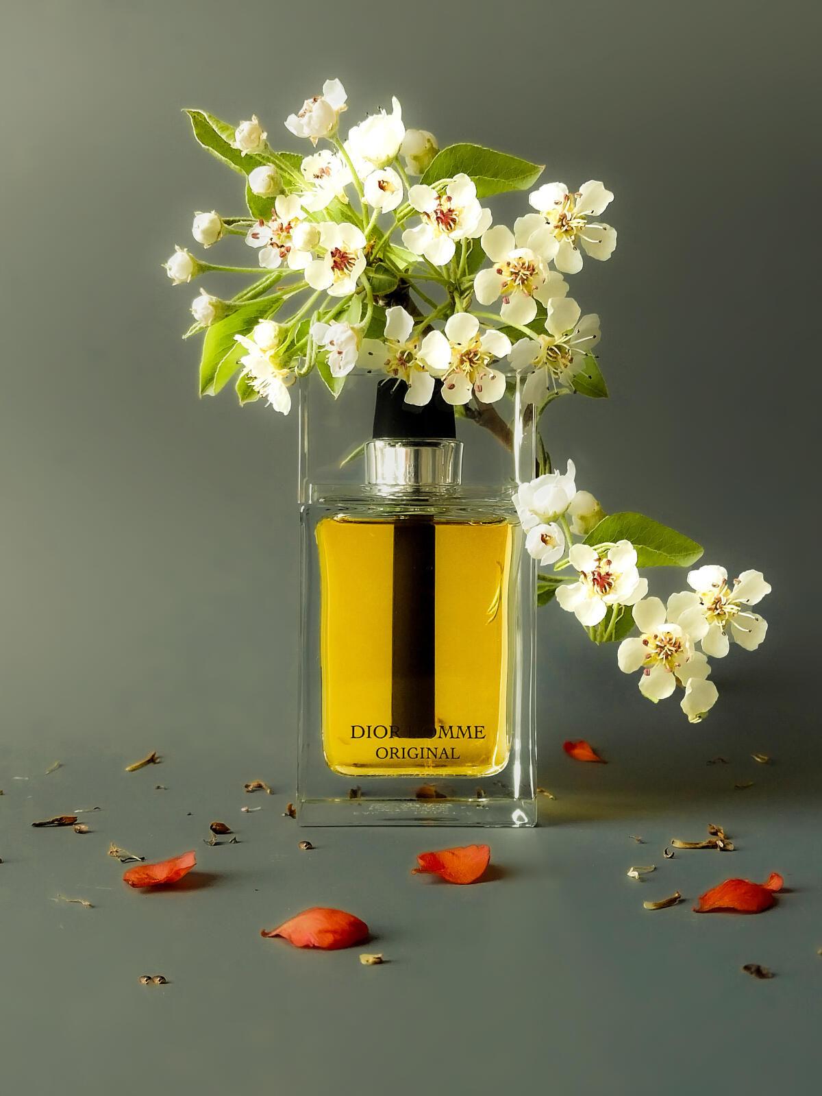 تصویر عطر دیور هوم اورژینال