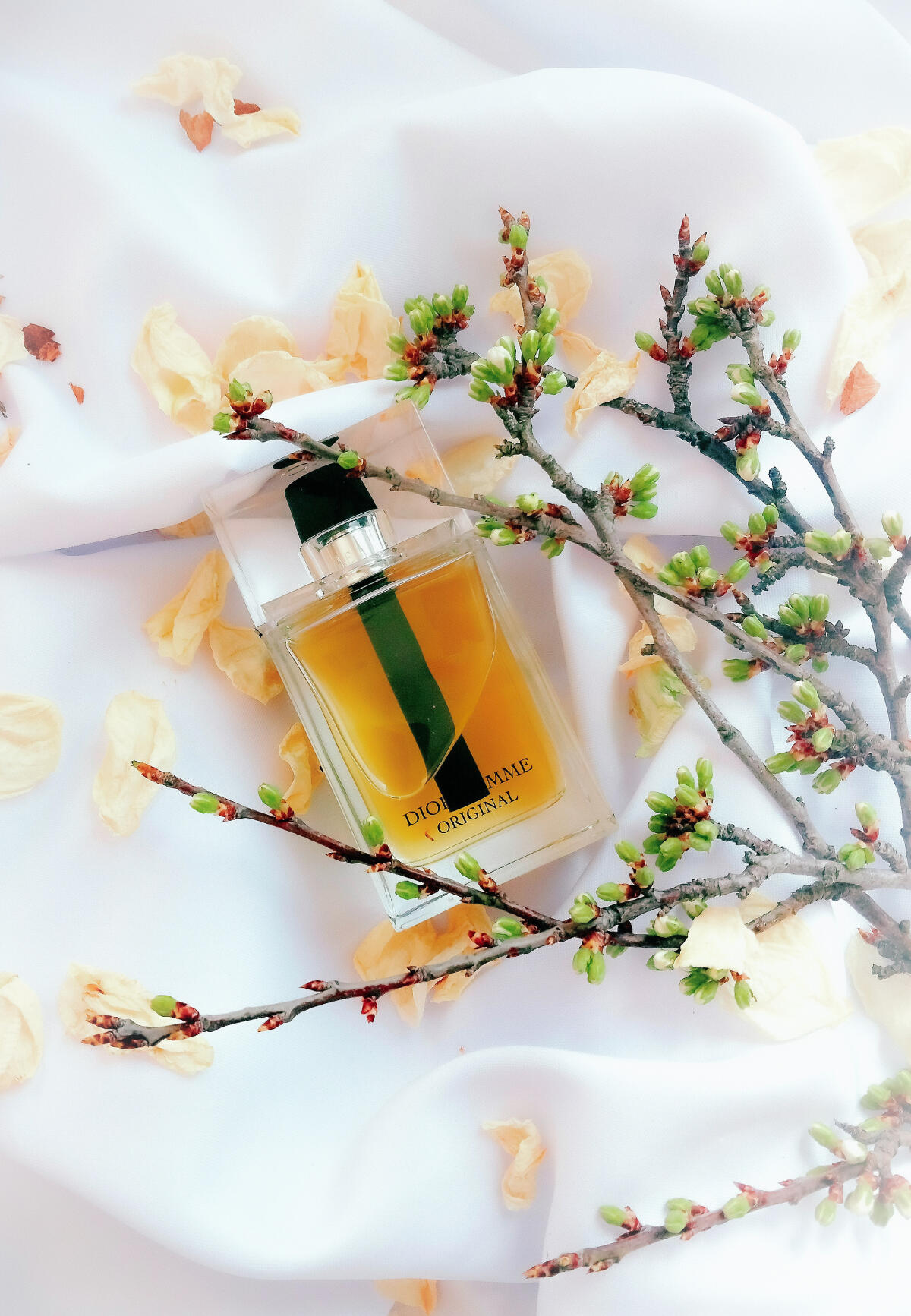تصویر عطر دیور هوم اورژینال