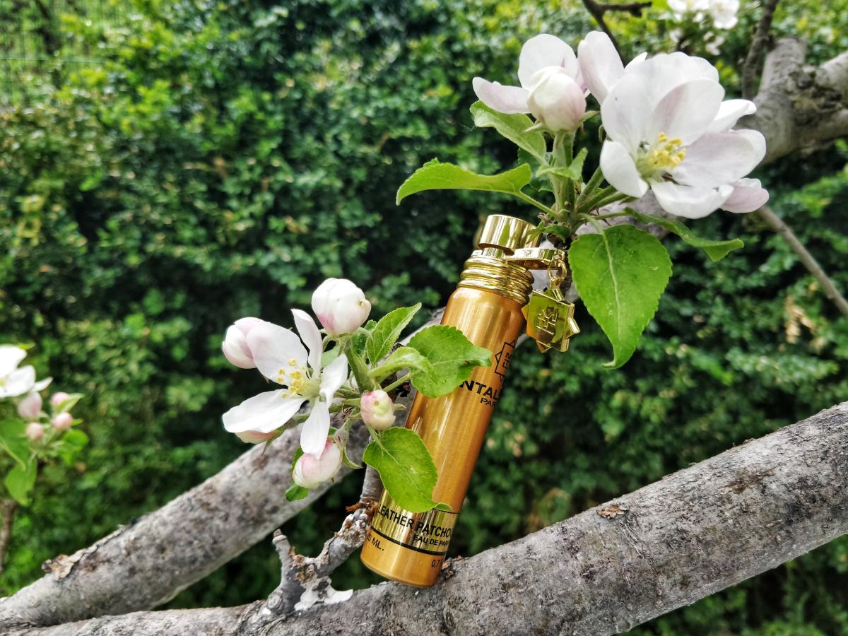 تصویر عطر لدر پچولی مونتال