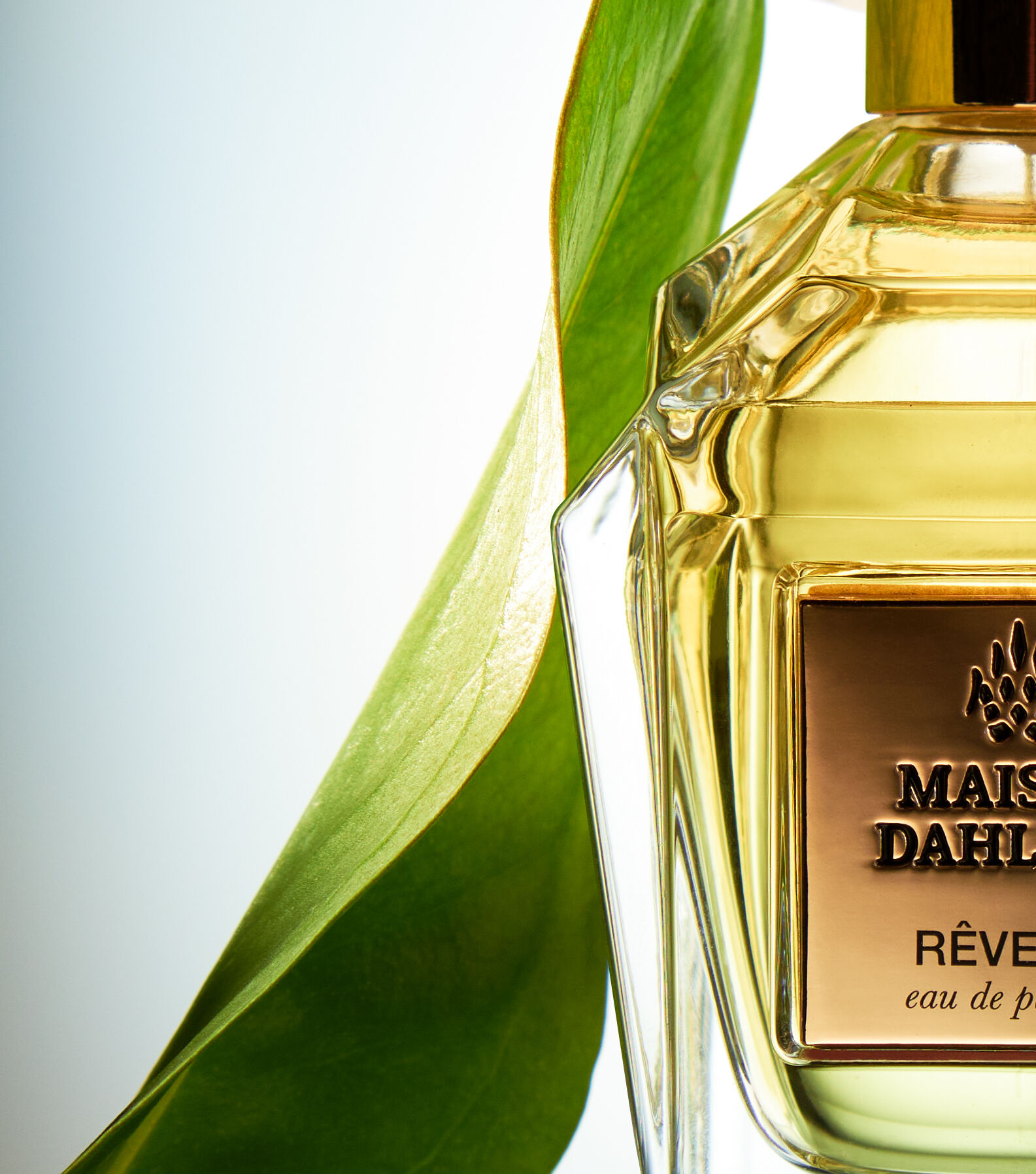 تصویر عطر رویوری مزون دهلاوی