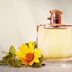 عطر ادکلن وومن بای رالف لورن رالف لورن - Woman by Ralph Lauren Ralph Lauren - بررسی، قیمت و خرید
