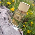 عطر ادکلن ولوت میموزا بلوم دولچه گابانا - Velvet Mimosa Bloom Dolce&Gabbana - بررسی، قیمت و خرید