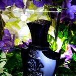 عطر ادکلن لاو این بلک کرید - Love in Black Creed - بررسی، قیمت و خرید