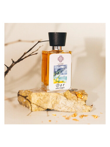عطر ادکلن دور آدیری مجیکه لاویان - DOR Adieri Magice Luviane - بررسی، قیمت و خرید