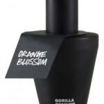 عطر ادکلن اورنج بلاسِم لاش - Orange Blossom Lush - بررسی، قیمت و خرید