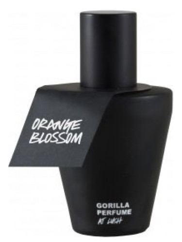 عطر ادکلن اورنج بلاسِم لاش - Orange Blossom Lush - بررسی، قیمت و خرید