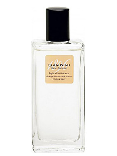 عطر ادکلن اُرِنج بلاسِم اَند لیف گاندینی ۱۸۹۶ - Orange Blossom and Leaf Gandini 1896 - بررسی، قیمت و خرید