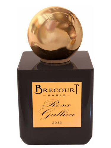 عطر ادکلن رزا گالیکا بریکورت - Rosa Gallica Brecourt - بررسی، قیمت و خرید