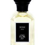 عطر ادکلن رُزای آکوافلور فیرنزه - Rosae Aquaflor Firenze - بررسی، قیمت و خرید