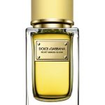 عطر ادکلن ولوت میموزا بلوم دولچه گابانا - Velvet Mimosa Bloom Dolce&Gabbana - بررسی، قیمت و خرید