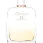 عطر ادکلن وایت سانگ روس و روس - White Song Roos & Roos - بررسی، قیمت و خرید