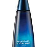عطر ادکلن بلوراش اینتنس اِیوون - Bluerush Intense Avon - بررسی، قیمت و خرید