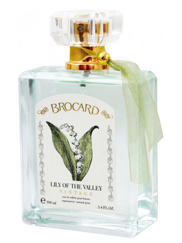 عطر ادکلن لیلی آو د ولی وینتج بروکارد - Lily of the Valley Vintage Brocard - بررسی، قیمت و خرید