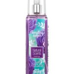 عطر ادکلن تِمپتیگ شوگار نچرال سنتس - Tempting Sugar Natural Scents - بررسی، قیمت و خرید