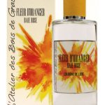 عطر ادکلن فلور دو اورانژه بای رز لاتلیه دِ بوا دِ گَس - Fleur d'Oranger Baie Rose L'Atelier des Bois de Grasse - بررسی، قیمت و خرید
