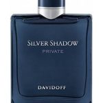 عطر ادکلن سیلور شَدو پِرایوِت داویدف - Silver Shadow Private Davidoff - بررسی، قیمت و خرید
