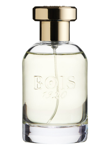 عطر ادکلن پاراناً بویز 1920 - Parana Bois 1920 - بررسی، قیمت و خرید