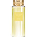 عطر ادکلن میموزا اوسترال پریمیر نوت - Mimosa Austral Premiere Note - بررسی، قیمت و خرید