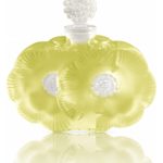 عطر ادکلن پردیس پروونس شالینی - Paradis Provence Shalini - بررسی، قیمت و خرید